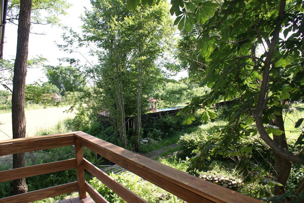 Vila Porumbacu Treehouse Porumbacu de Sus Exteriér fotografie