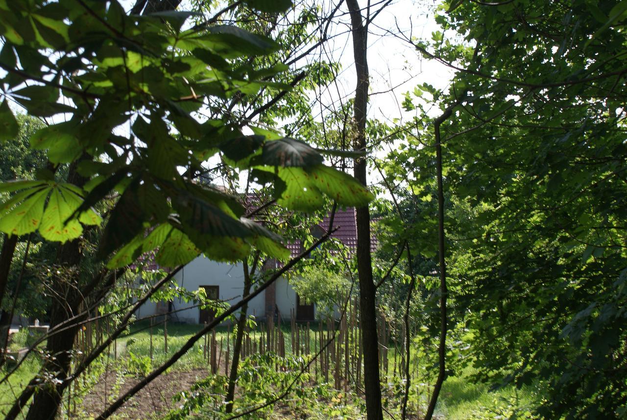 Vila Porumbacu Treehouse Porumbacu de Sus Exteriér fotografie